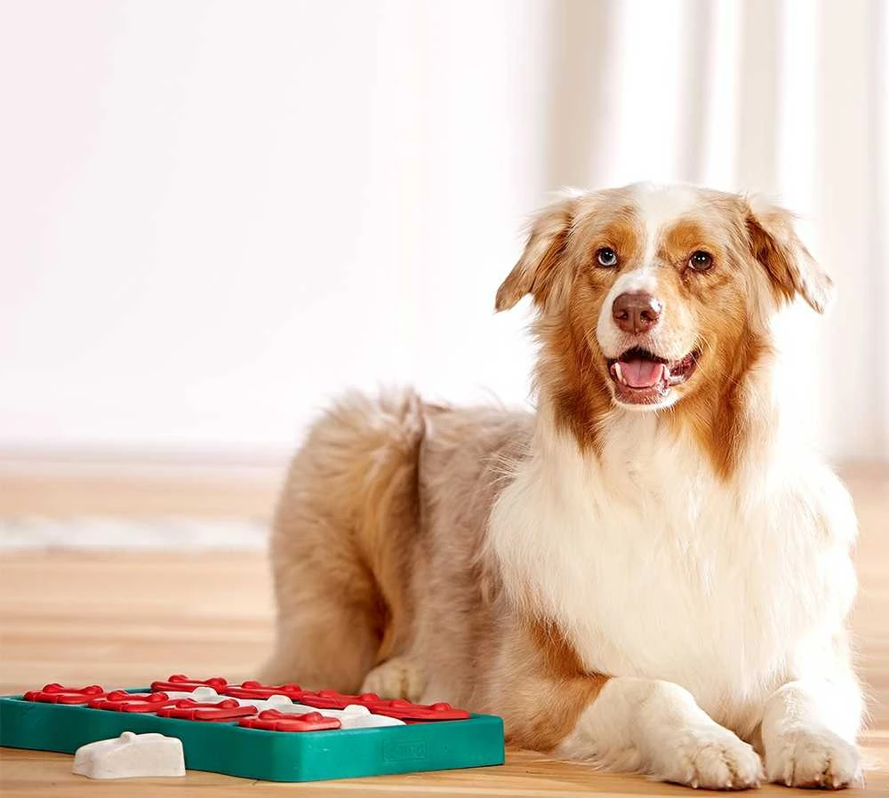Nina Ottosen Nina Ottosson Dog Brick interaktyvus žaislas šunims