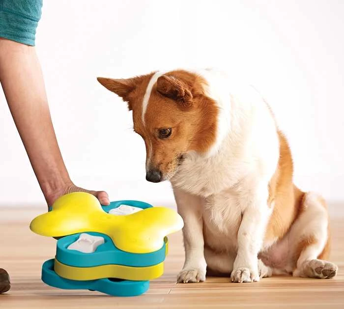 Nina Ottosen Nina Ottosson Dog Tornado interaktyvus žaislas šunims