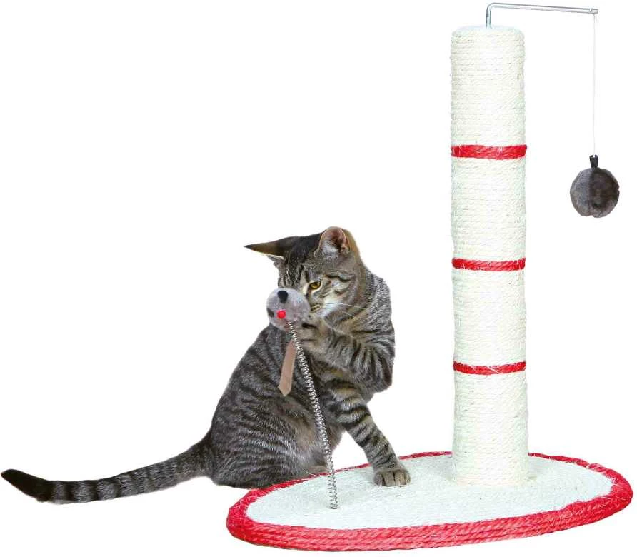 Trixie Draskyklė katei Scratch me , 50cm