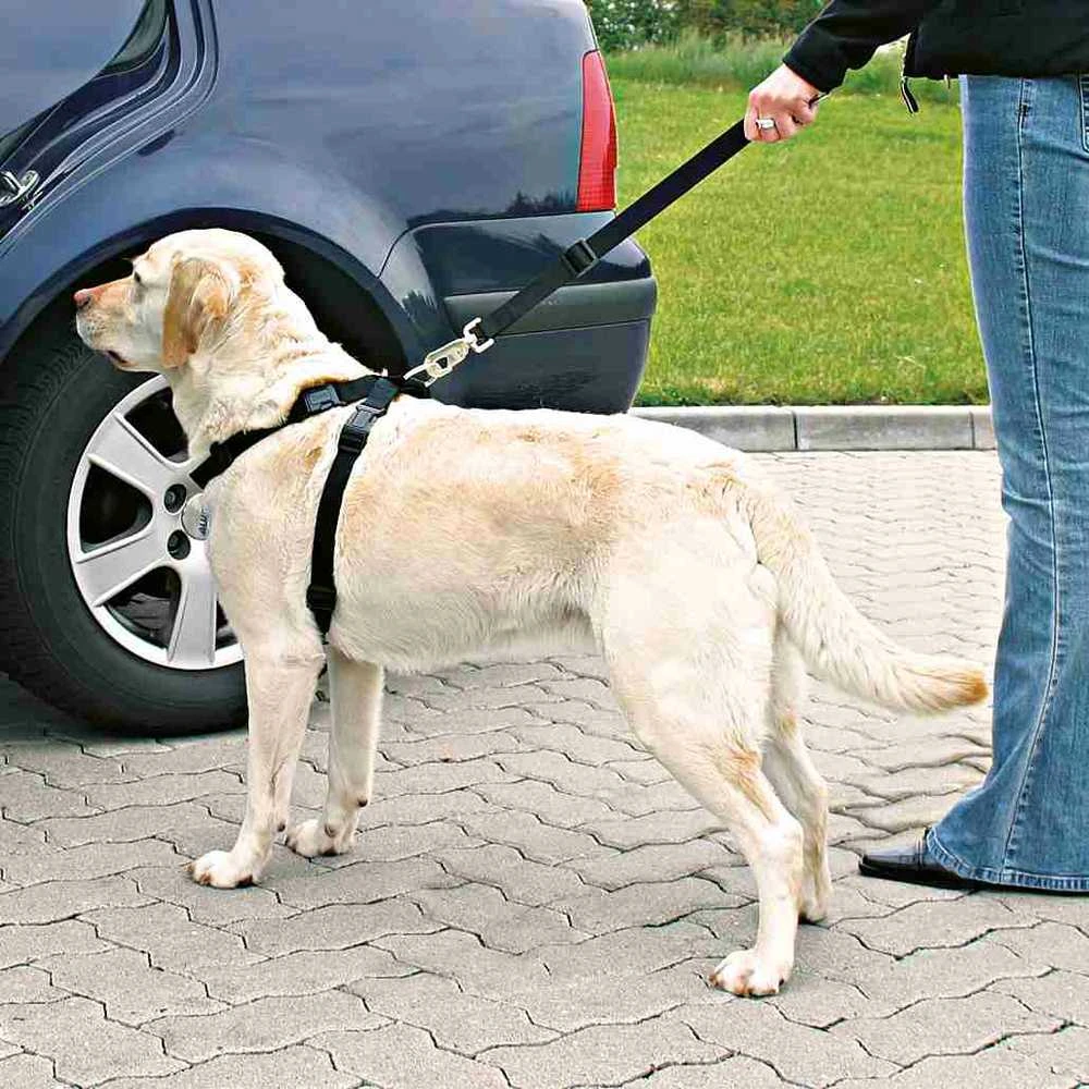 Trixie saugos diržas šuniui su petnešomis 50-70cm