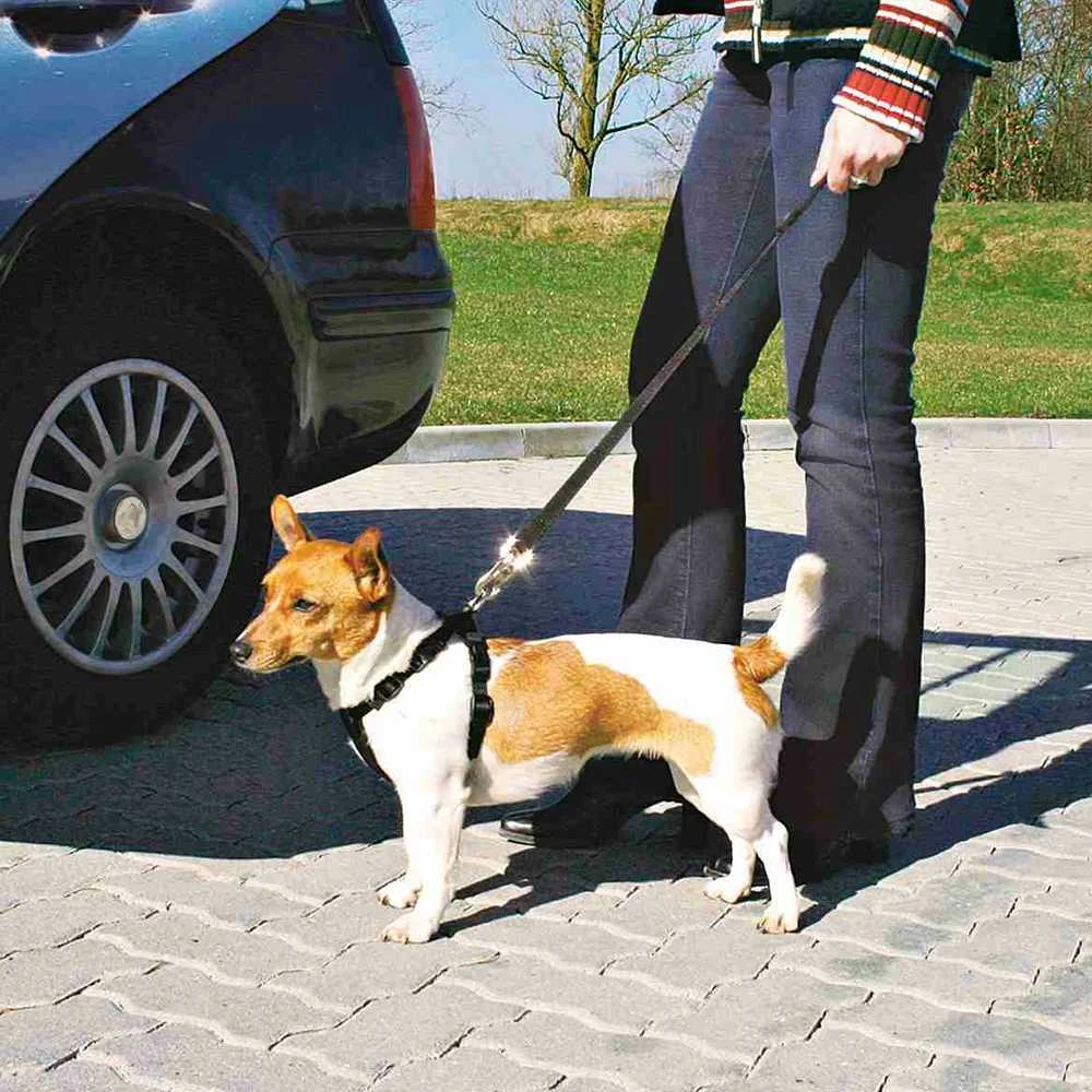 Trixie saugos diržas šuniui su petnešomis 30-60cm