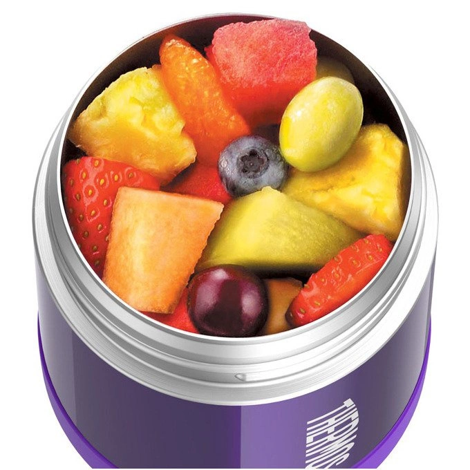 Termosas maistui vaikams Thermos 290 ml, violetinis