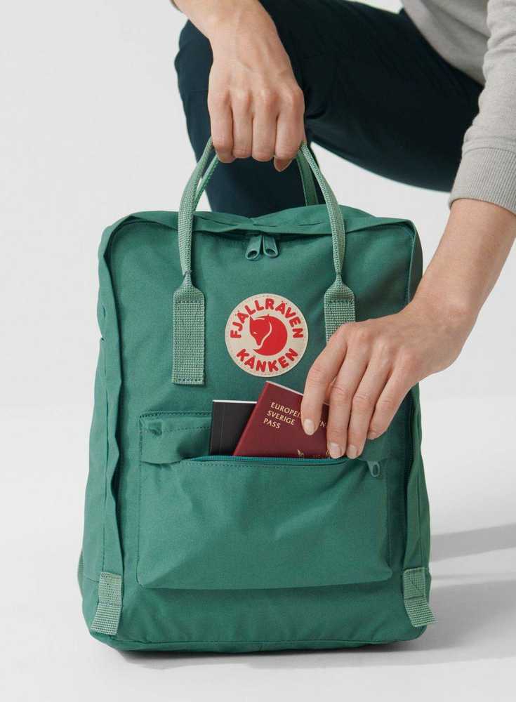 Fjällräven Kanken plecak Turistinė kuprinė Jeżyna Polipropylen (PP), Vinylon