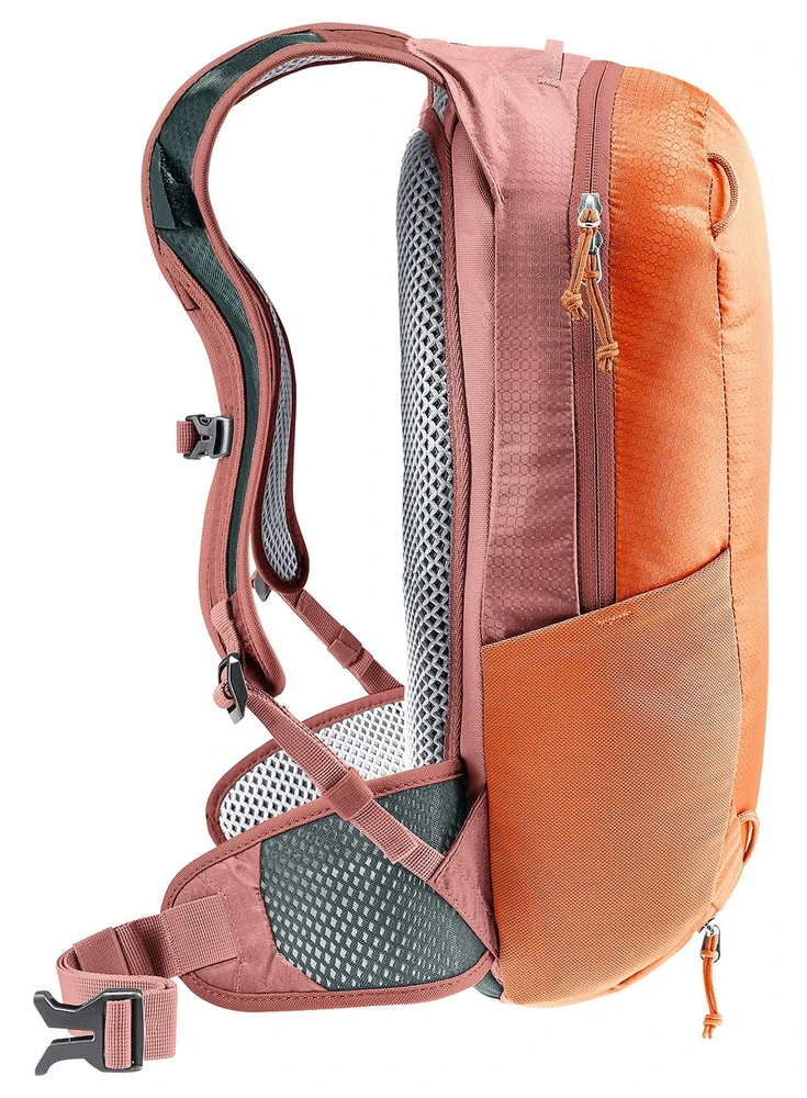 Deuter 8 lenktynių kaštonas-raudonmedis