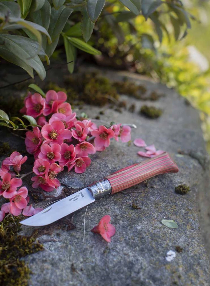 Peilis Opinel Nr.8 Laminuotas Raudona nerūdijančio plieno ašmenimis ir raudona beržo rankena