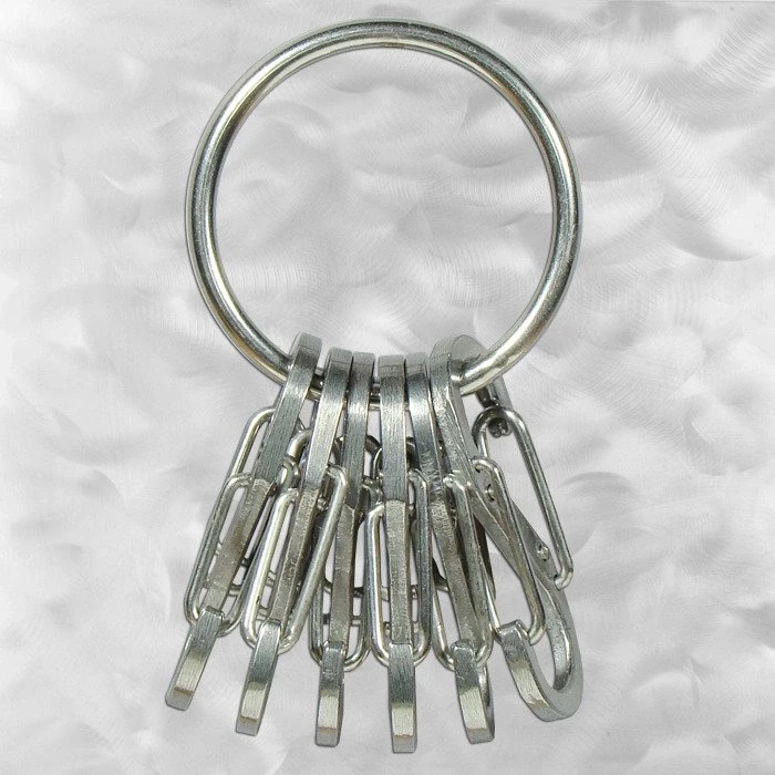 „Nite-Ize KeyRing+“ 6 x nerūdijančio plieno mikrokarabinai (KRGS-11-R3)