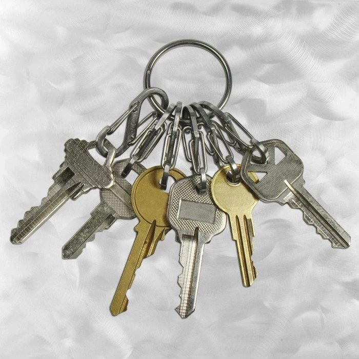 „Nite-Ize KeyRing+“ 6 x nerūdijančio plieno mikrokarabinai (KRGS-11-R3)