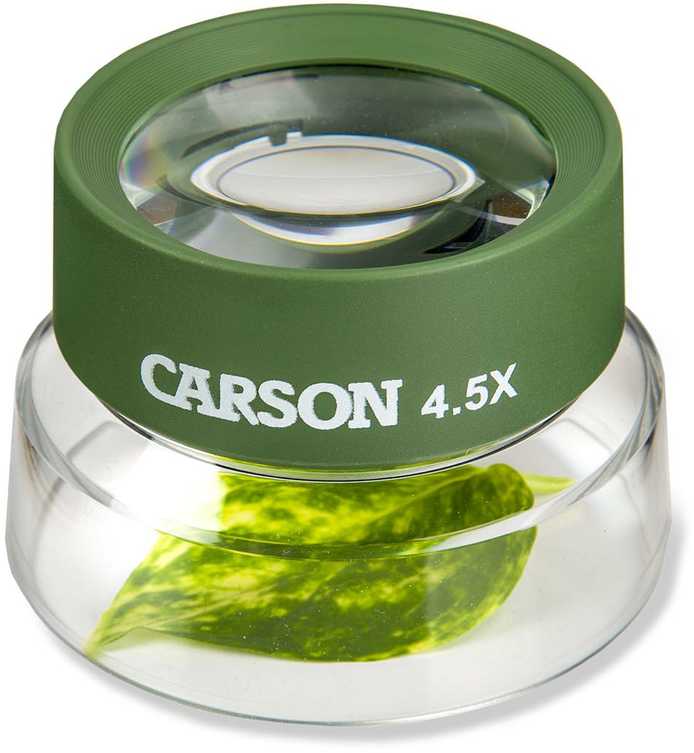 Carson -universalus