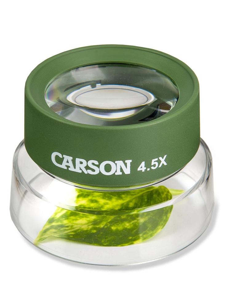 Carson -universalus