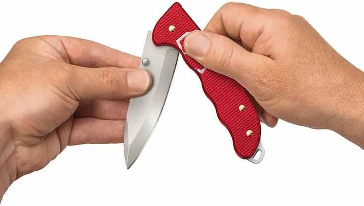 Šveicarija Peilis Victorinox Evoke Alox Limited Edition