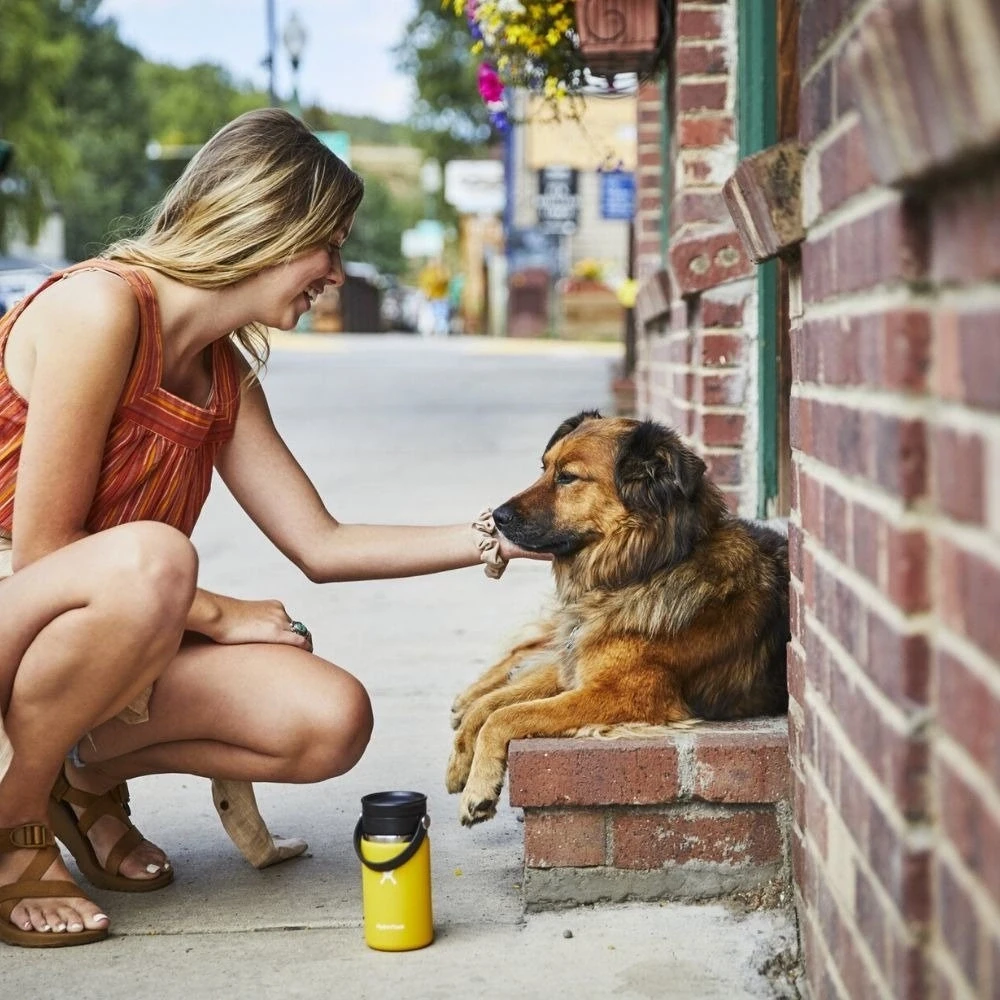 Hydro Flask Wide Flex Sip Lid Juodas 0,355l