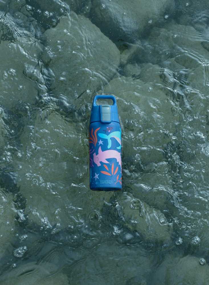 Gertuvė Sigg Shield One Mėlyna Word, 500 ml