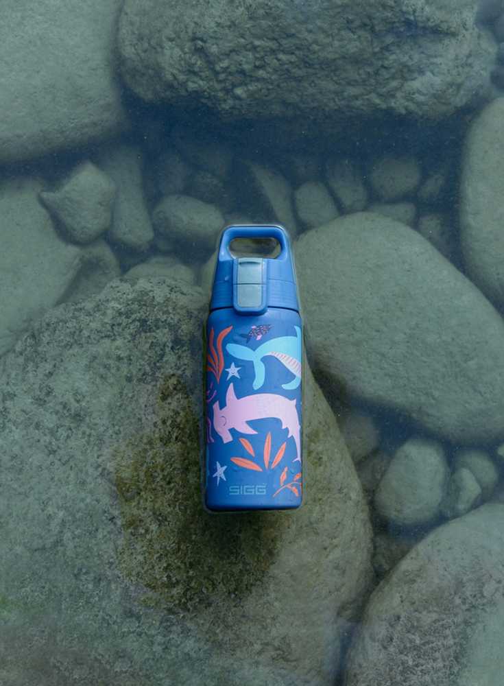 Gertuvė Sigg Shield One Mėlyna Word, 500 ml