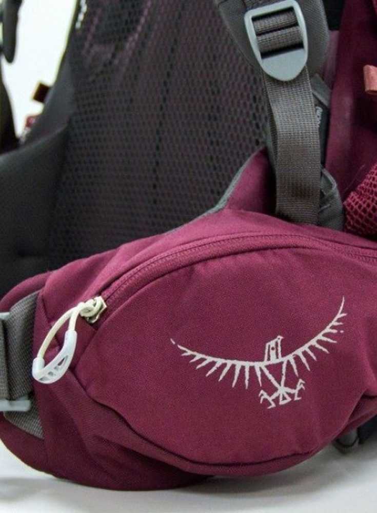 Kuprinė Osprey Renn 65
