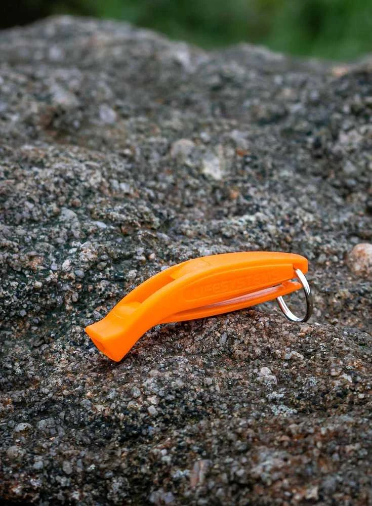Jungtine Karalyste Švilpukas Lifesystems Echo Whistle