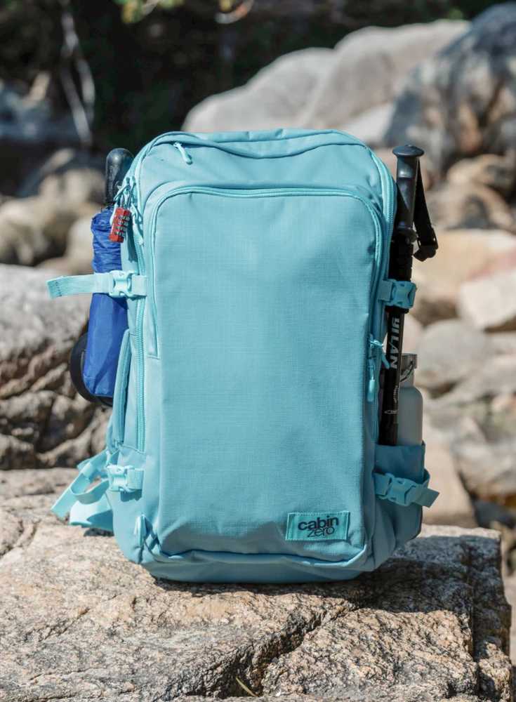 Cabinzero Adv Pro 42 l kelioninis kuprinės-rankinės dėklas