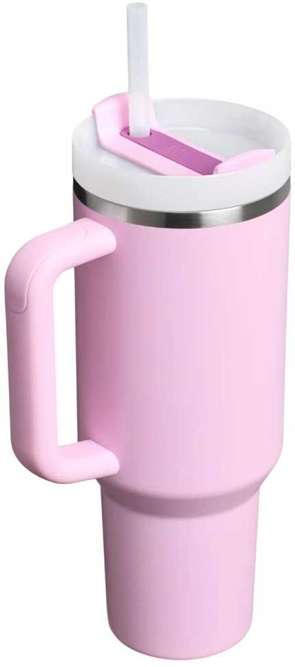 Stanley Quencher H2.O FlowState 0,89 l vyšnių žiedų