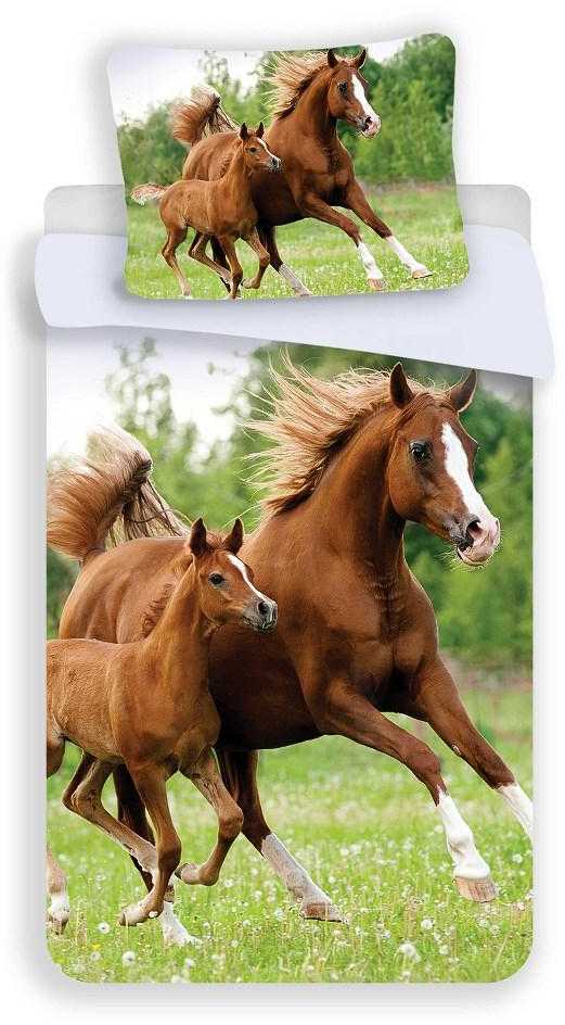 Patalynė bawełniana 140x200 Konie koń w galopie 7227 poszewka 70x90
