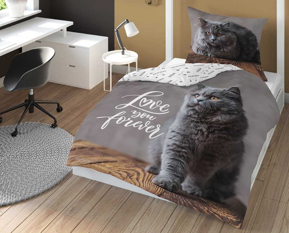 Detexpol Patalynė 140x200 pilkas kačiukas, pagalvės užvalkalas 70x80 skydas