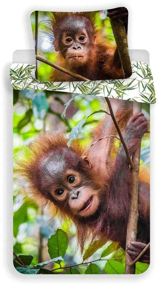 Patalynė bawełniana 140x200 Orangutan 7257 wesoła małpka liście palmy poszewka 70x90