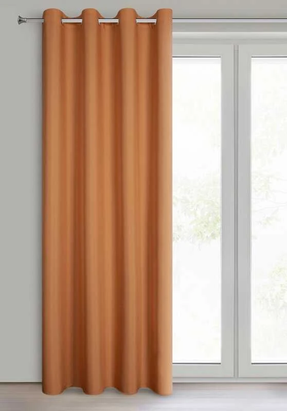 Eurofirany Euro užuolaidos ZAS/RITA/RUDY 140X250 SKAIDRUS