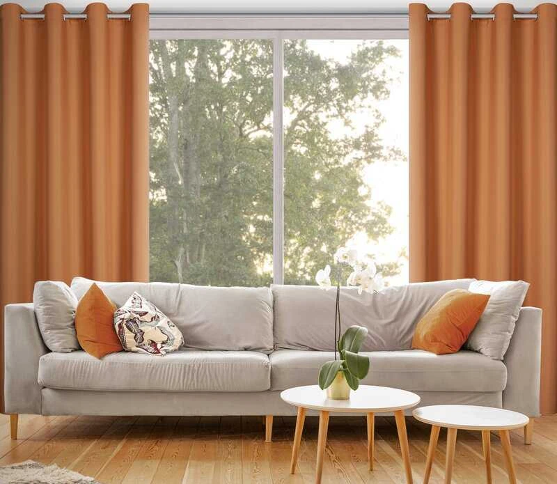Eurofirany Euro užuolaidos ZAS/RITA/RUDY 140X250 SKAIDRUS