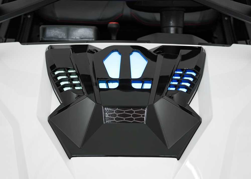 Elektrinis Buggy RTR Monster Speed 4x4, Baltas