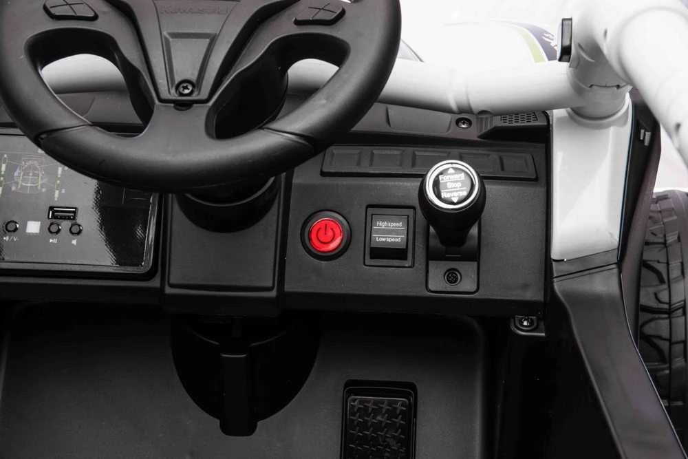 Elektrinis Buggy Kawasaki TERYX KRX1000, Pilkas