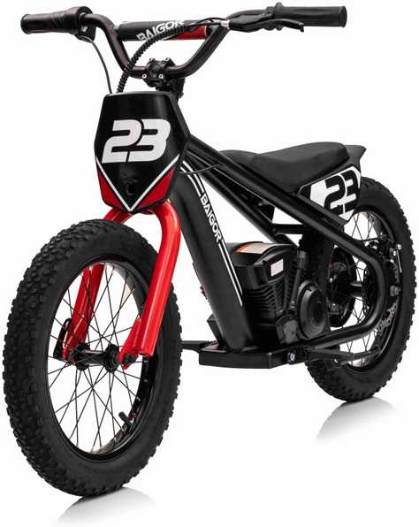 Elektrinis motociklas BAIGOR 23 PRO, Juodas