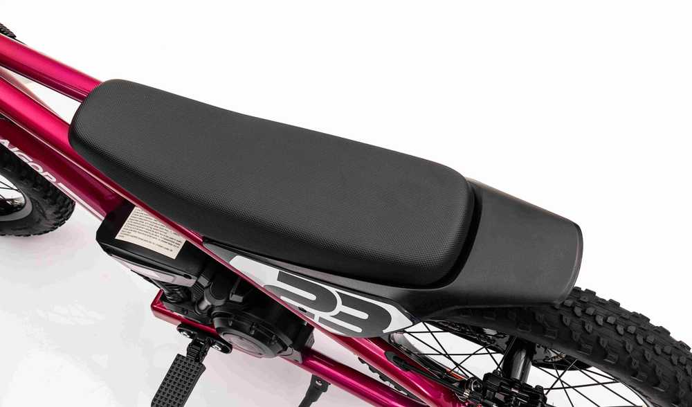 Pink Rožinė Elektrinis motociklas BAIGOR 23 PRO, Rožinė