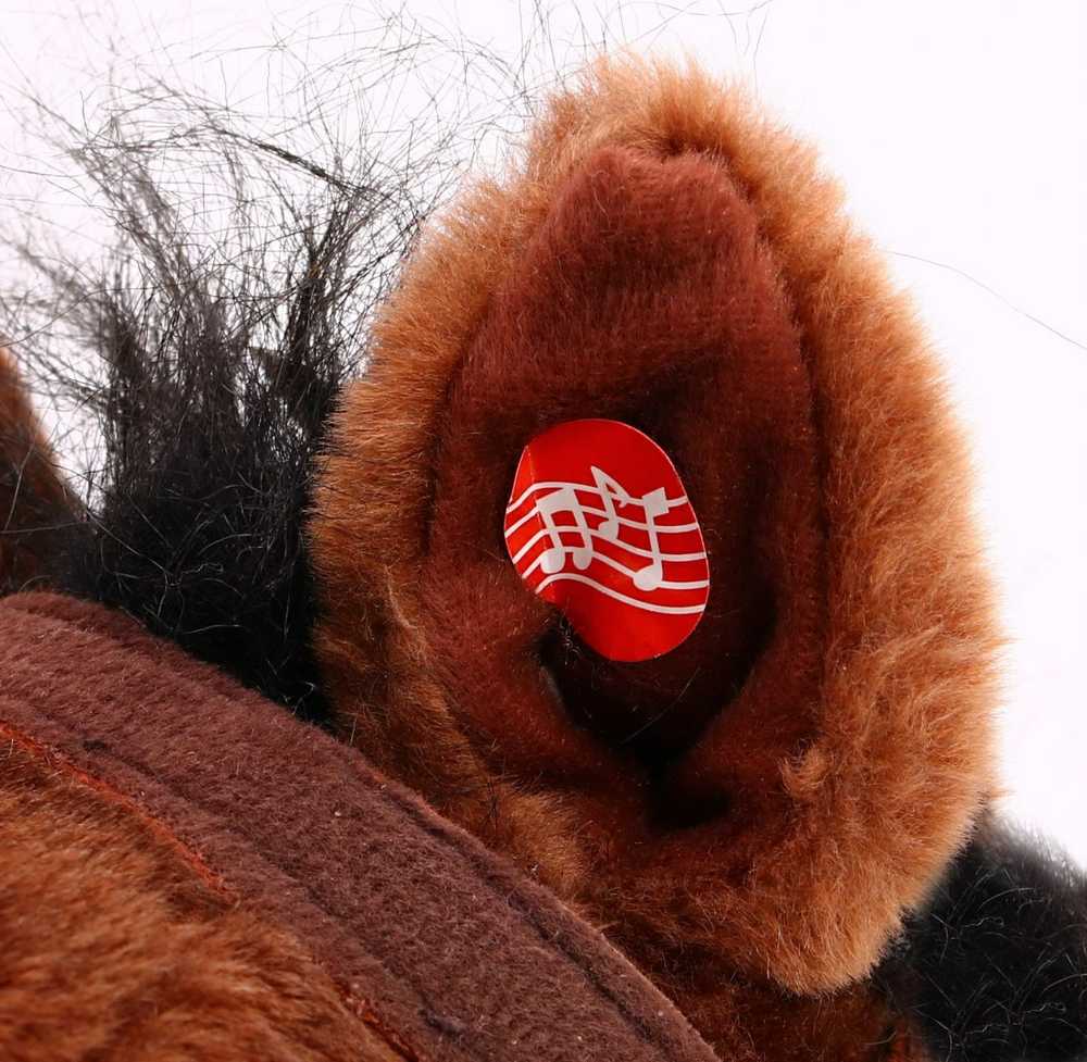 Supamasis žirgas tamsiai rudas su kaubojų muzika
