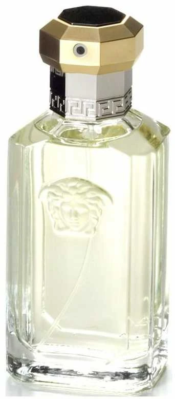 Kvepalai vyrams Versace The Dreamer EDT, 100 ml