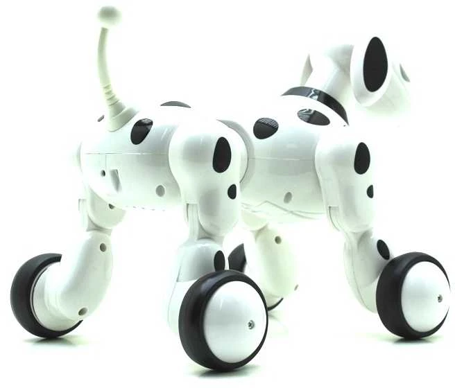 Išmanus šuo robotas