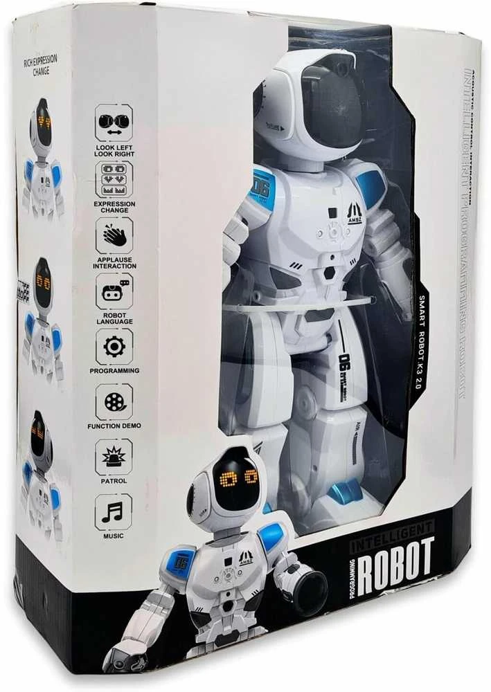 Programuojamas nuotolinio valdymo robotas