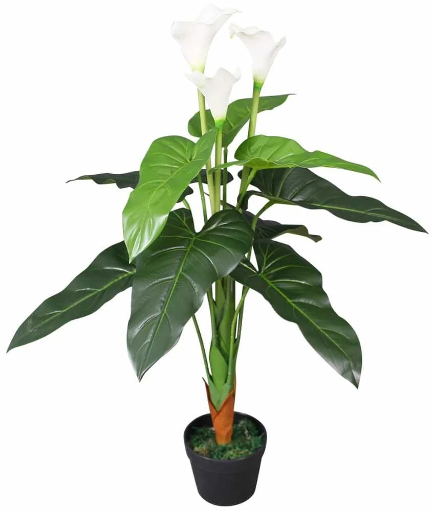 Dirbtinė abisininė kalija su vazonu, 85 cm, balta