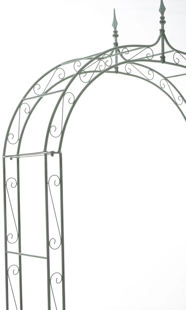 Clp Trading „Rose Arch Lenz“ – senovinė žalia