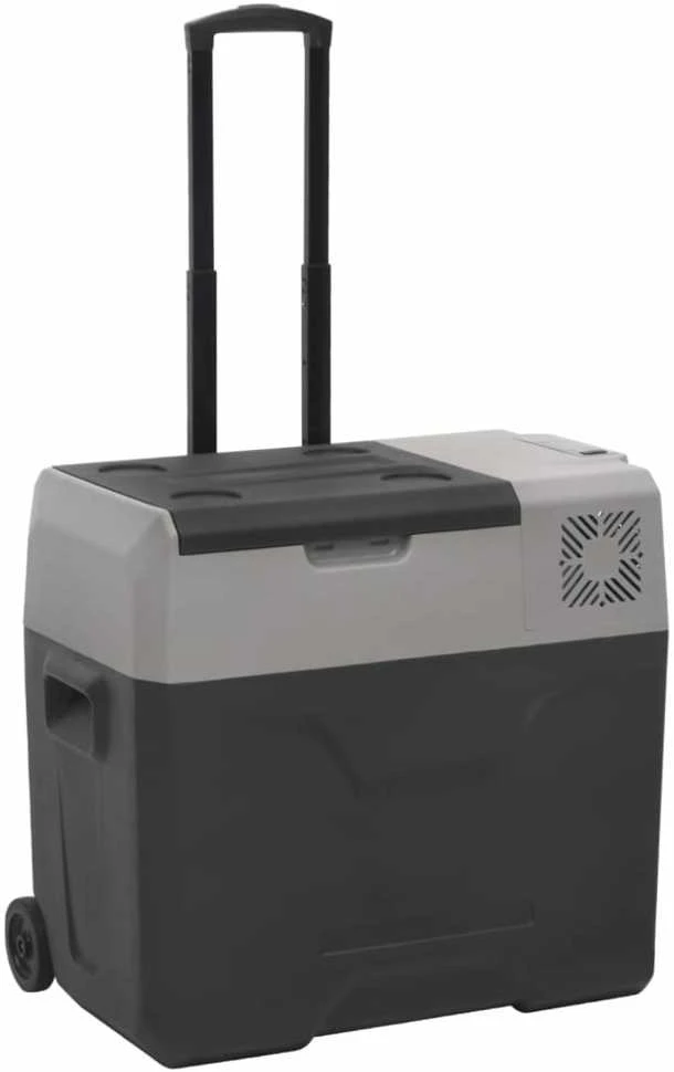 Šaltdėžė su ratukais ir rankena, juoda ir pilka, 50l, PP