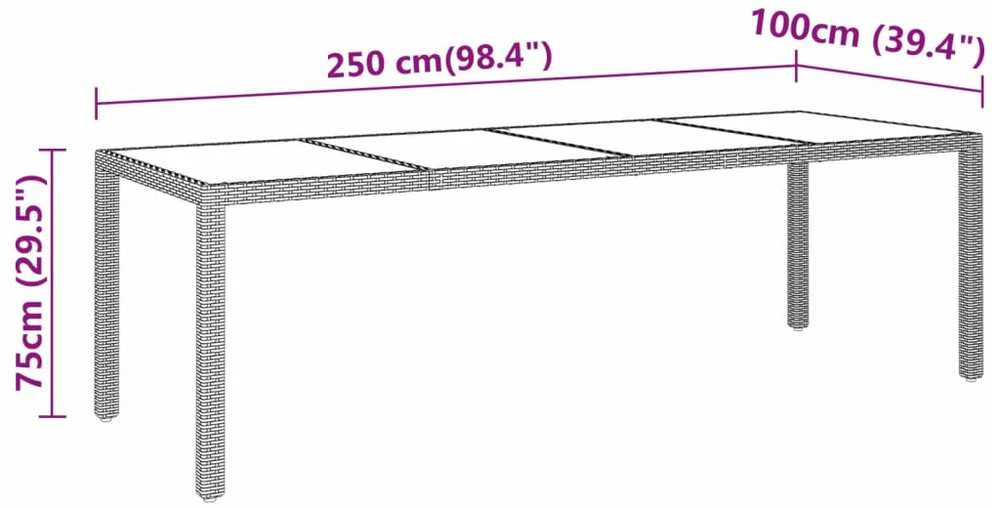 Sodo stalas, pilkas, 250x100x75cm, stiklas ir poliratanas