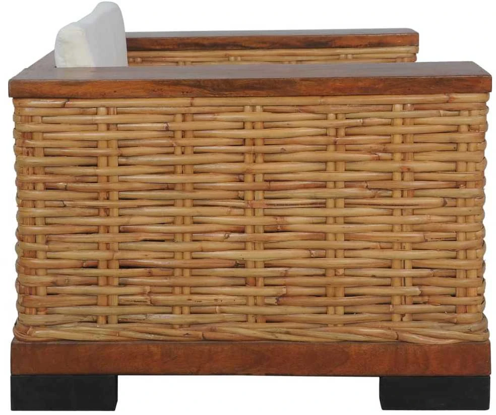 Sofa Sofos komplektas su pagalvėlėmis, 2d., rudos sp., nat. ratanas
