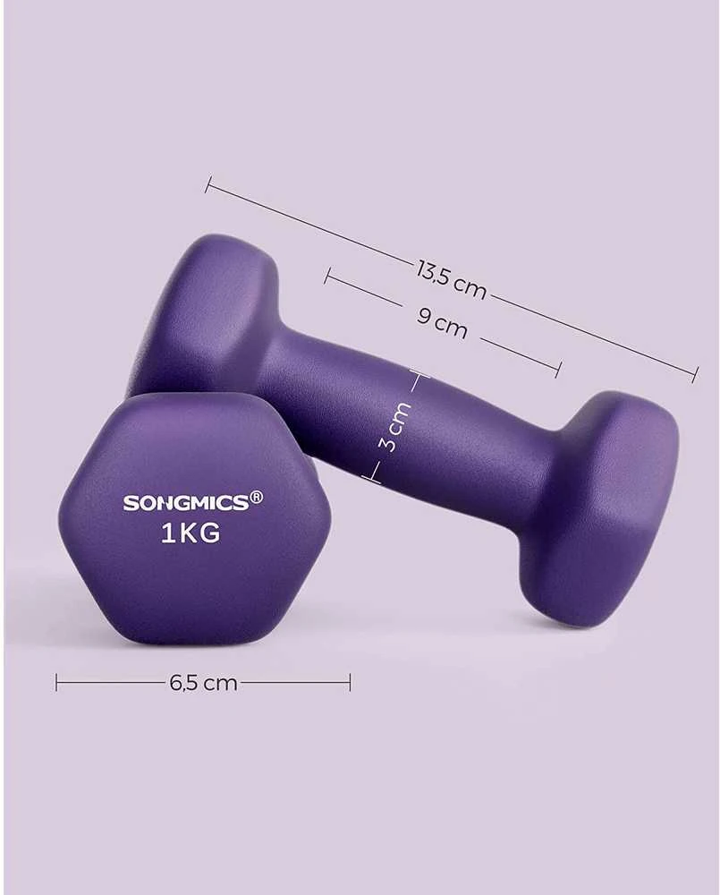 Songmics 2 violetinės spalvos hantelių rinkinys