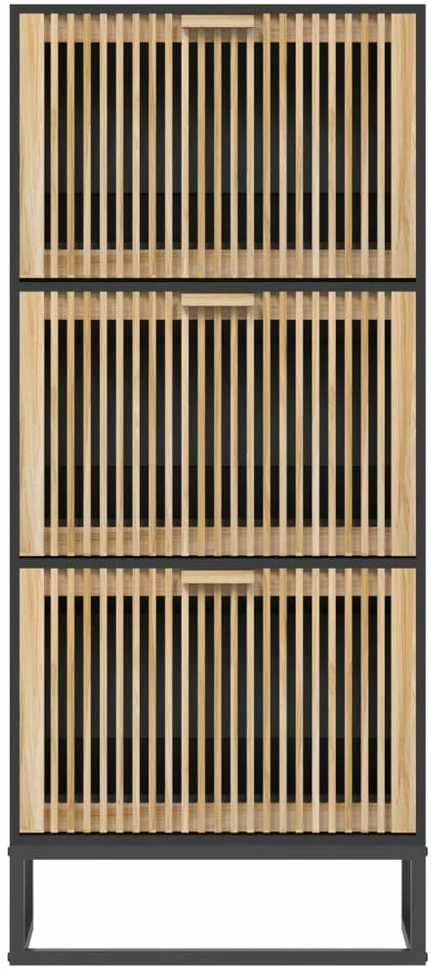 Spintelė batams, juodos spalvos, 52x25x120cm, apdirbta mediena