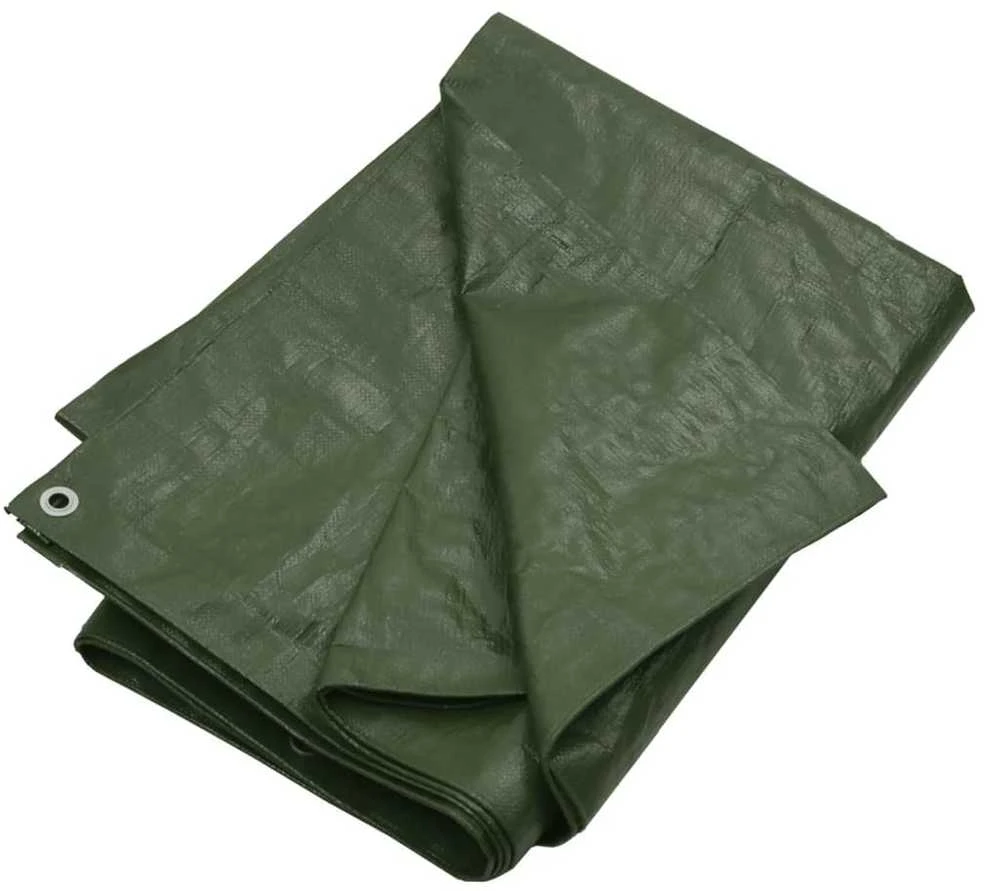 Tentas, žalios spalvos, 8x10m, 180g/m²