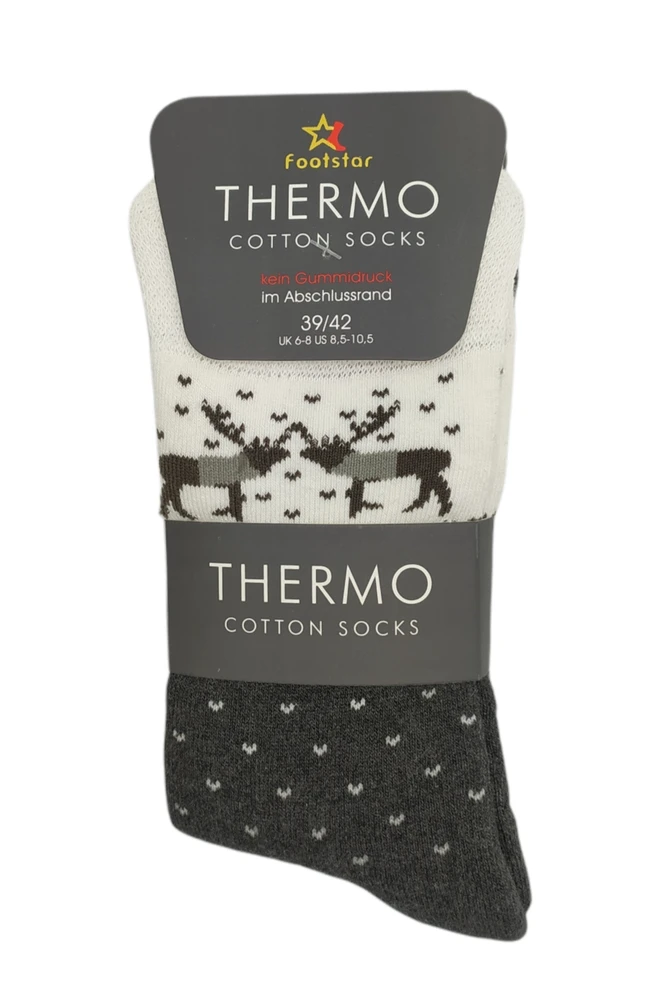 Frotinės termo kojinės moterims Footstar Thermo 68305, 3 poros, pilkos