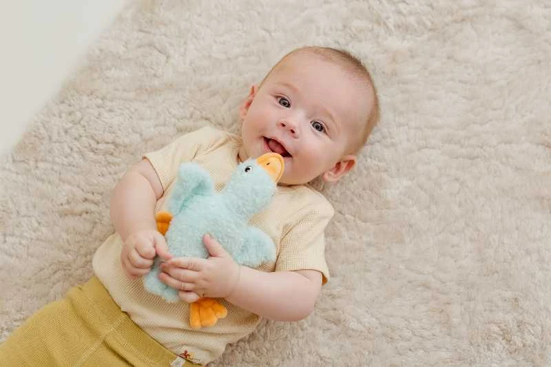 Dumel BALIBAZOO BB 82403 Sensorinė mėlyna žąsis