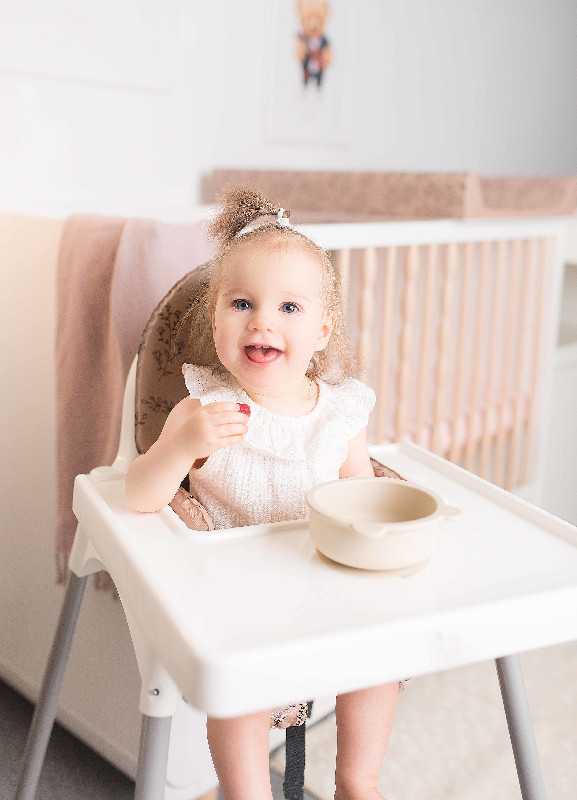 CebaBaby maitinimo kėdutės įdėklas 26x26x40 žąsys