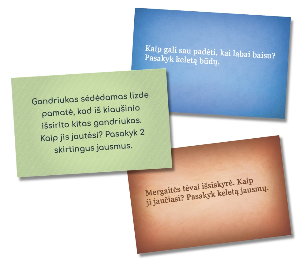 PIO Lavinamasis stalo žaidimas JAUSMŲ PASAULIS, 6+