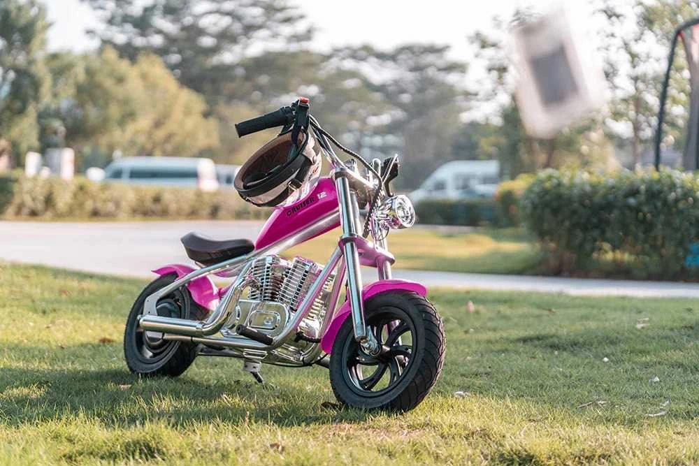 Kuro bakas ir sparnai motociklui „Hyper Gogo Cruiser“ – rožinė Barbė