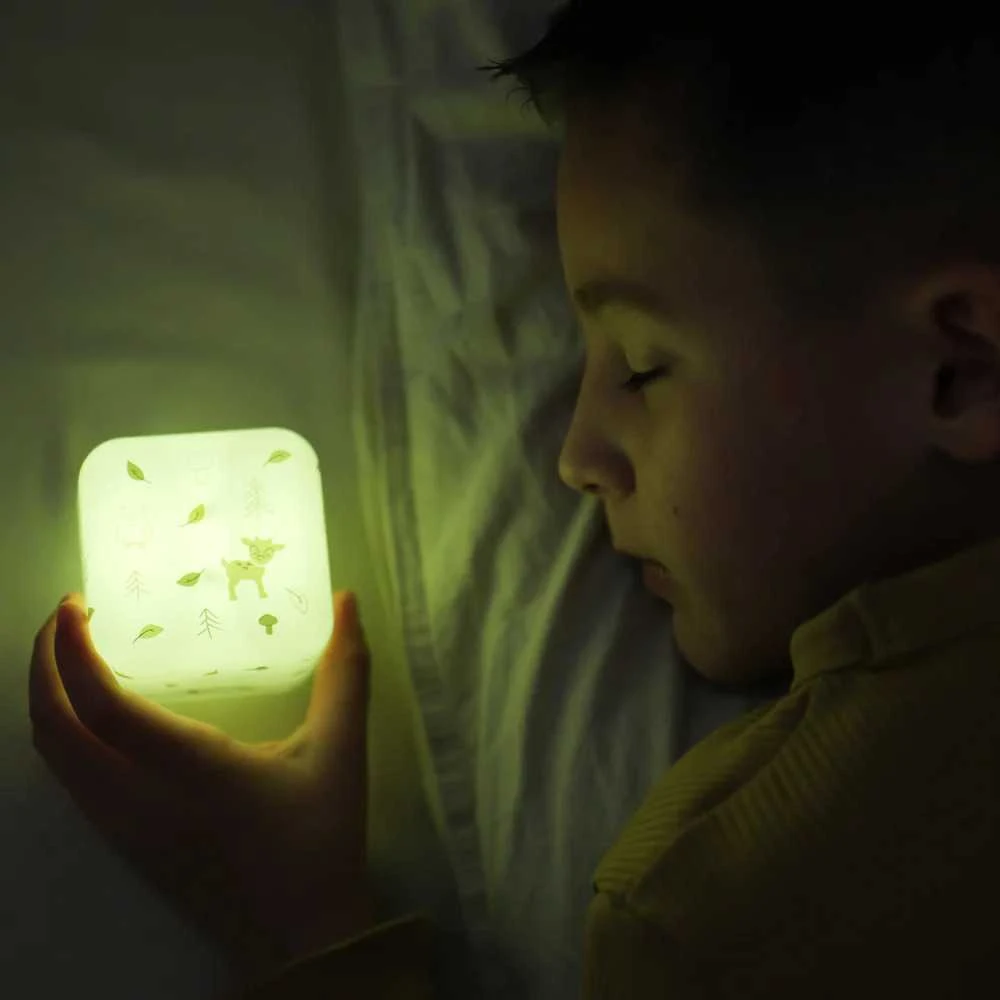 Cloud B Nešiojama naktinė lemputė „Cube B™“ – apšvietimo kubas – miškas