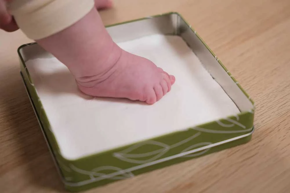 Petit Artichaut Square Print Box – lapai