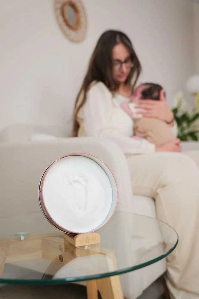 Petit Artichaut Zeller PETTIT ARTCHAUT APVALI DĖŽUTĖ APVALI VAIVORYKŠTĖ 3700552370879